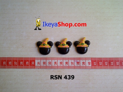 rsn 439  large2